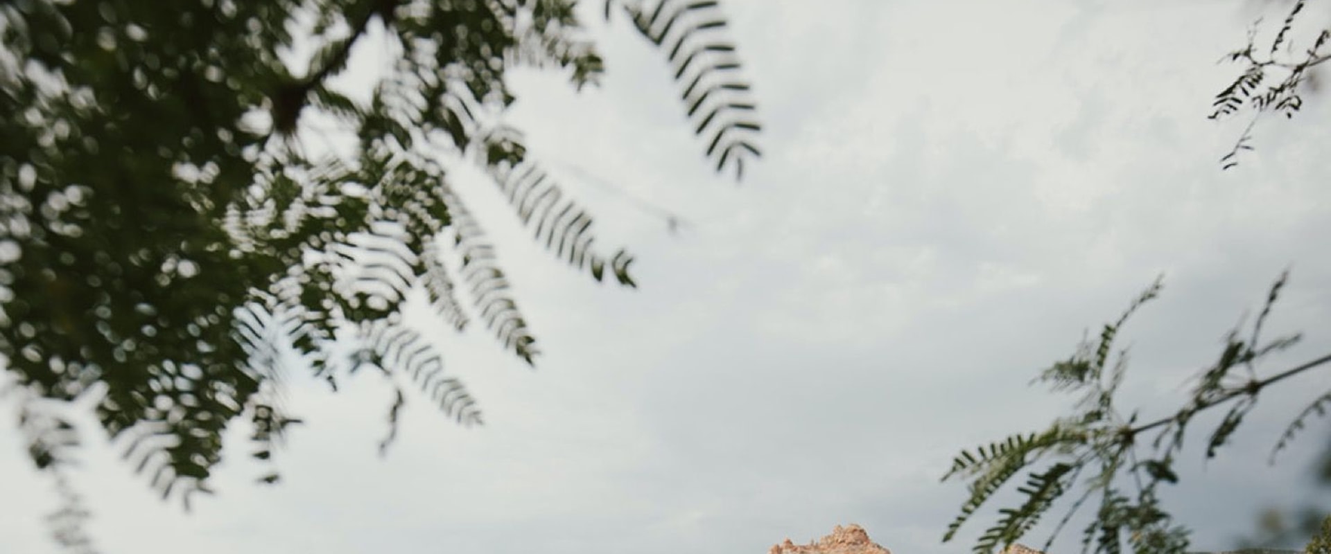 Arizona Outdoor Wedding Ideas: Beautiful Options for Your Special Day